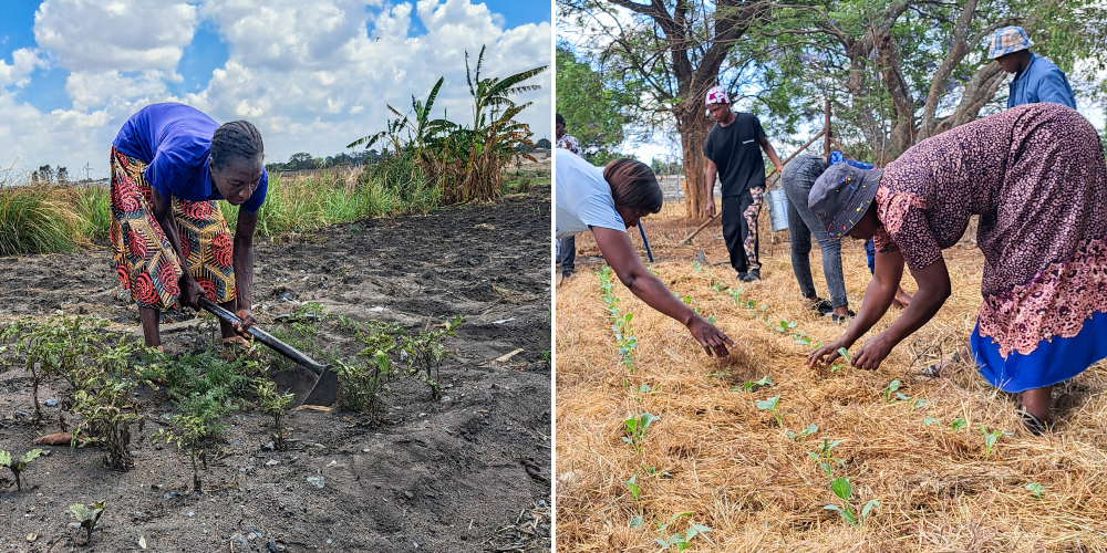 Unterstützung von Menschen in Harare, der Hauptstadt von Simbabwe, von Kinderhilfswerk GLOBAL CARE und Miracle Missions Trust Unterstützung von Menschen in Harare, der Hauptstadt von Simbabwe, von Kinderhilfswerk GLOBAL CARE und Miracle Missions Trust