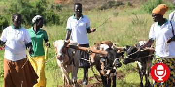 Hilfsprojekt von AWO International für Landwirte in Uganda 