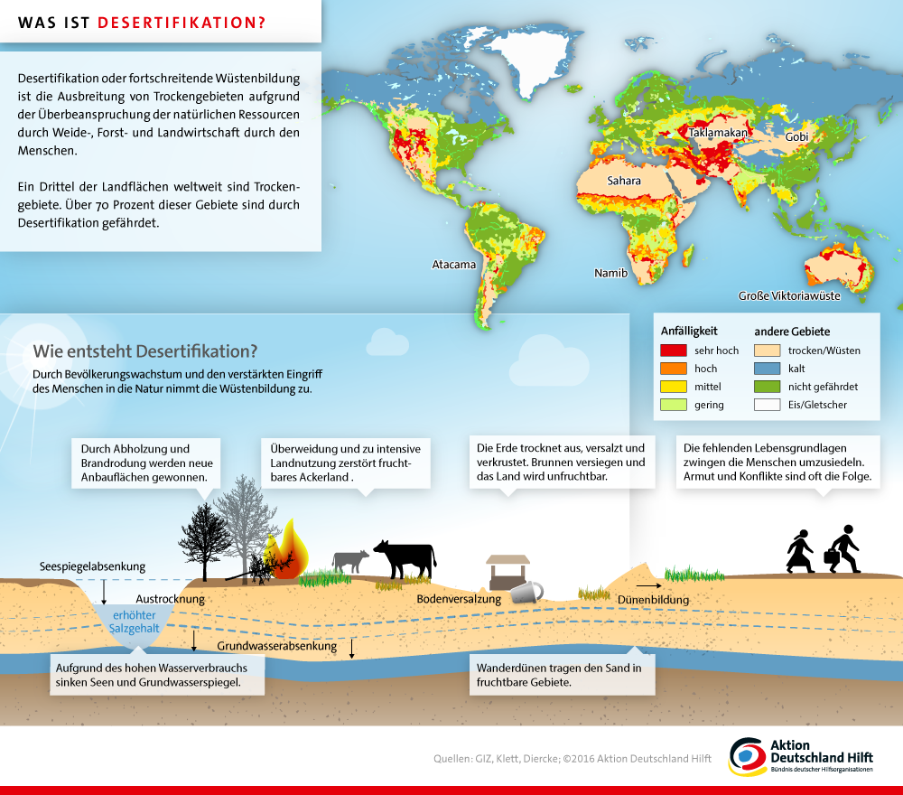 Desertifikation oder fortschreitende Wüstenbildung ist weltweit ein großes Problem. Erfahren Sie in der Infografik, welche Ursachen sie hat und welche Gebiete besonders gefährdet sind!