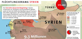 Infografik Syrien Januar 2014